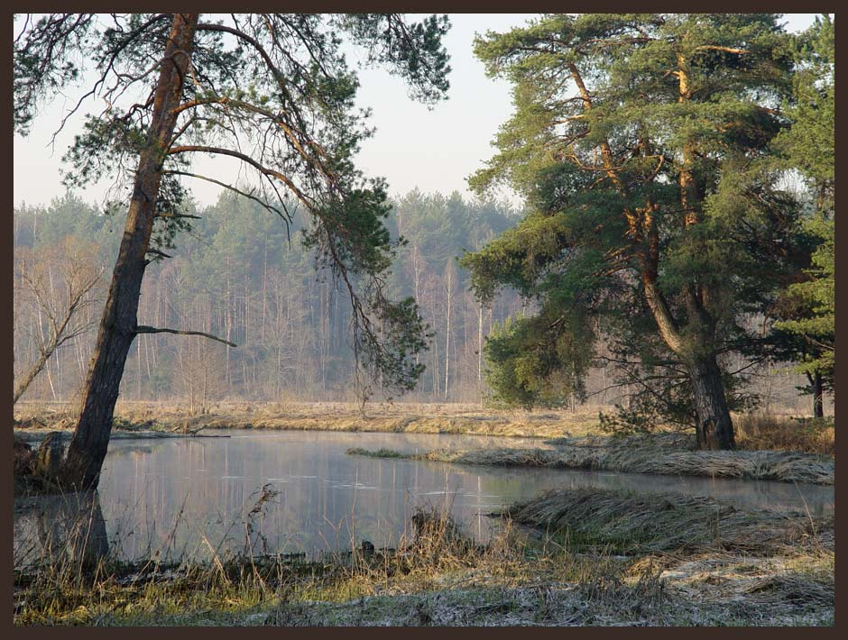 Утро. Нерская Первомай Нерская Река