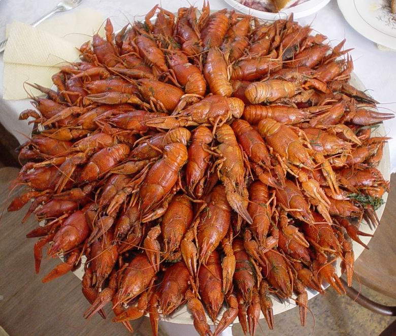 вареные раки вареные раки