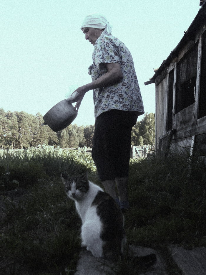 бабушка и ее кот 