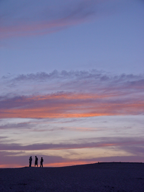 Assateague 