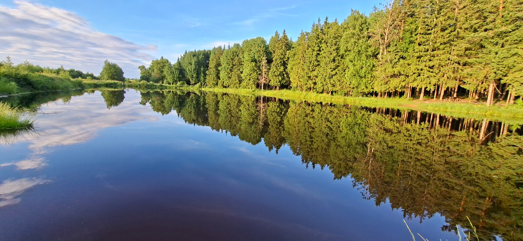 Отражения Отражения облака ели река