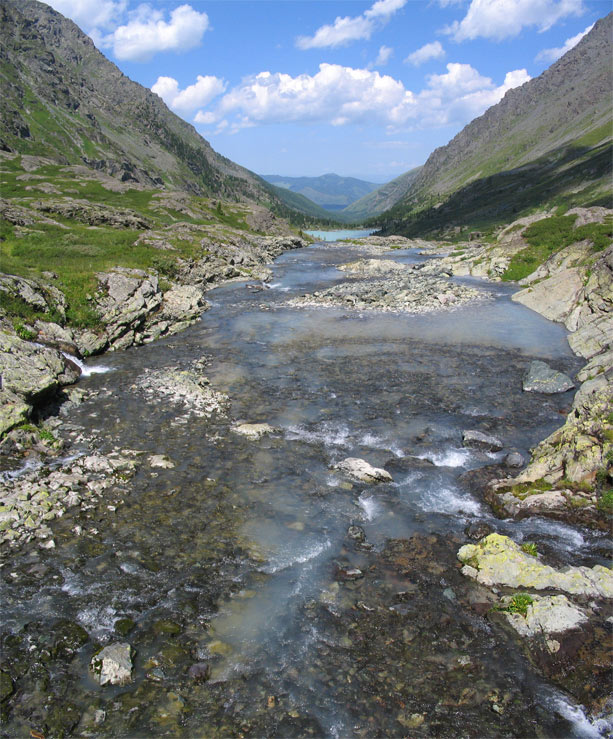 \"Лучшая вода для чая - та что течет среди желных камней\". Алтай Куйгук ручей