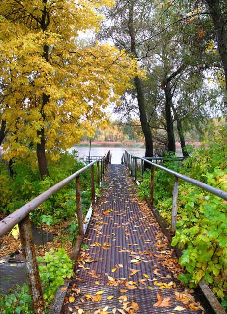 fall colors 