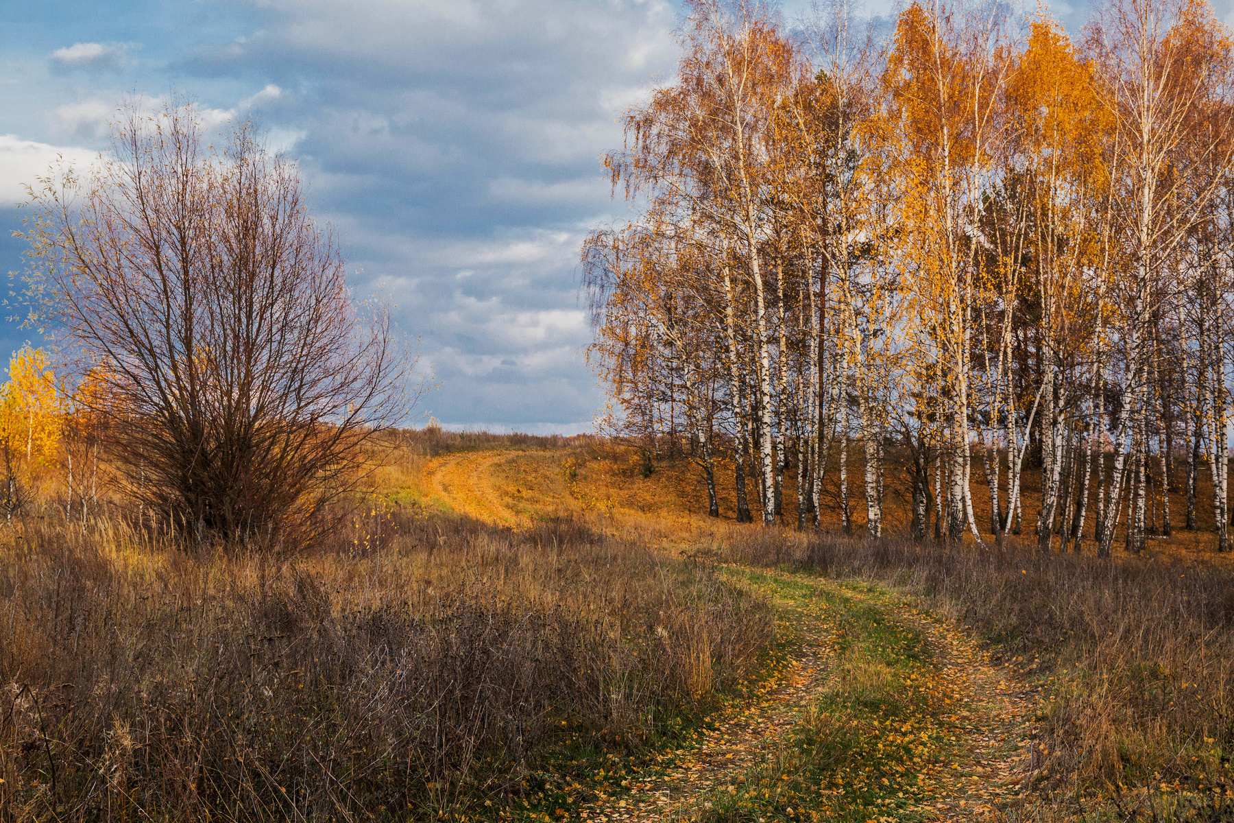 *** природа пейзаж осень татарстан новочувашский