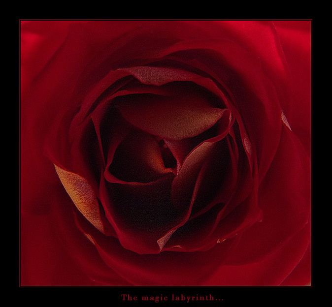 The magic labyrinth 