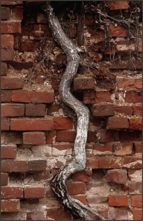 the wall the wall