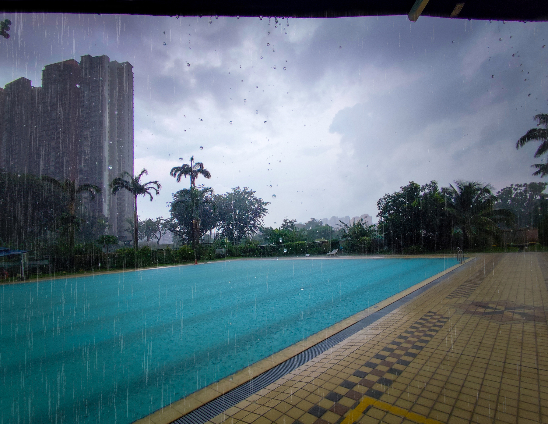 Хотел поплавать... Путешествия Сингапур