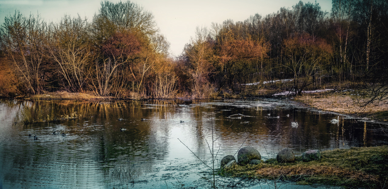 ***Большая вода,весна. 
