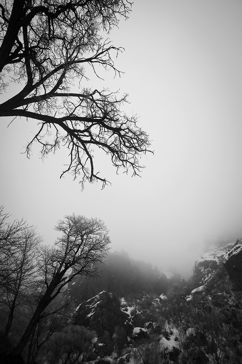 Winter 