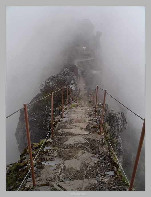 Fog 