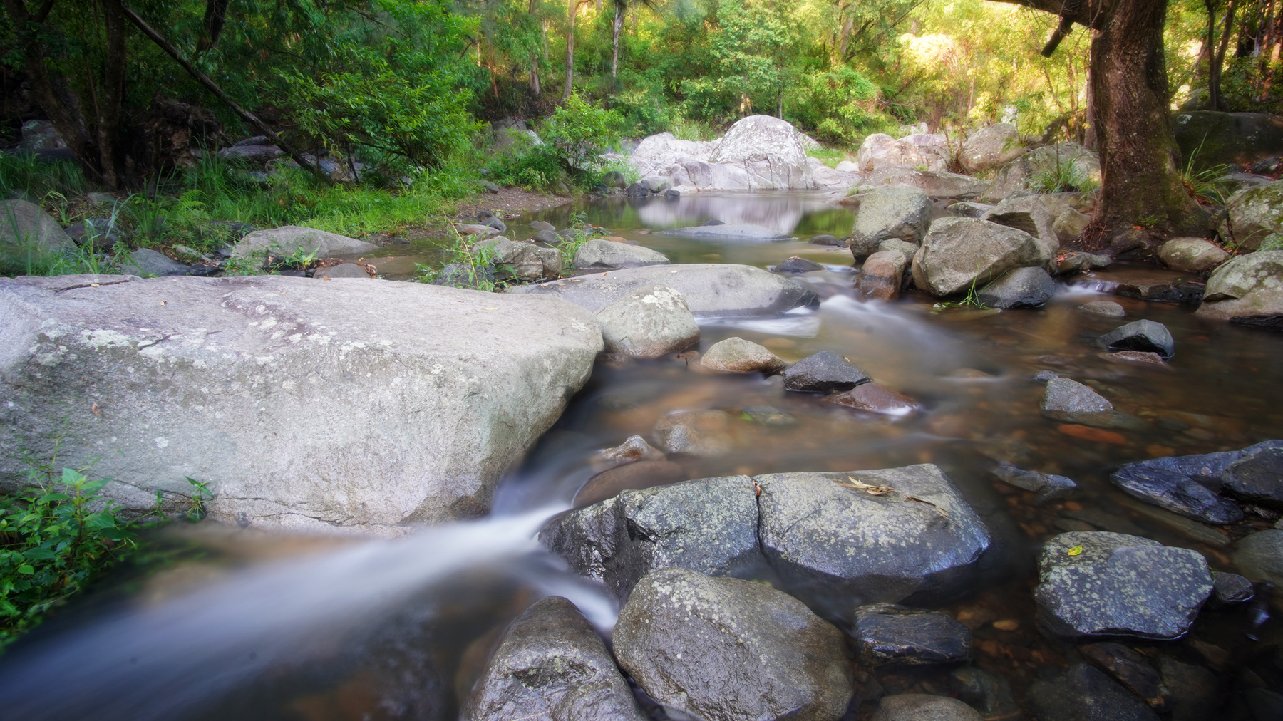 Cedar Creek ручей