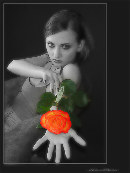Шипы и Розы ... Шипы,Розы,БУДЯ