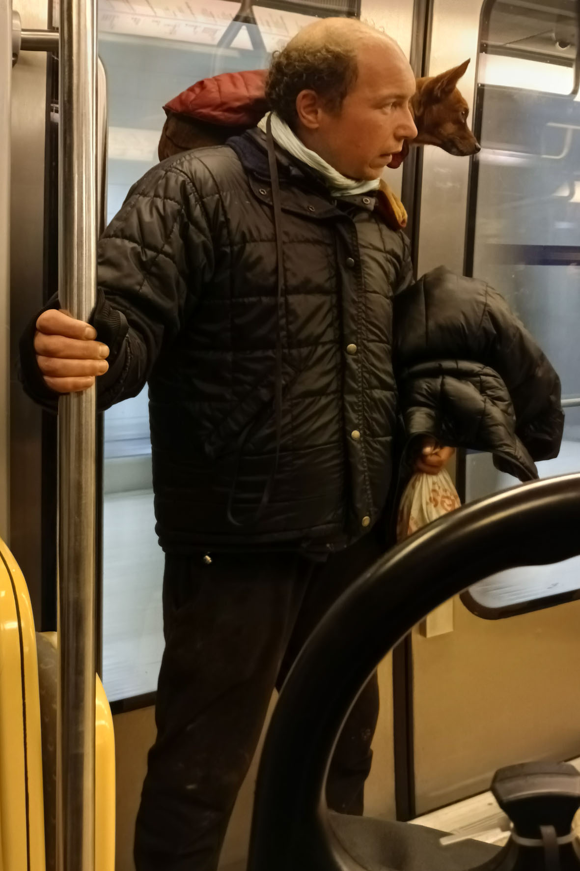 "Если с другом вышел в путь..." Ренн Бретань Rennes метро собака плечо курточка