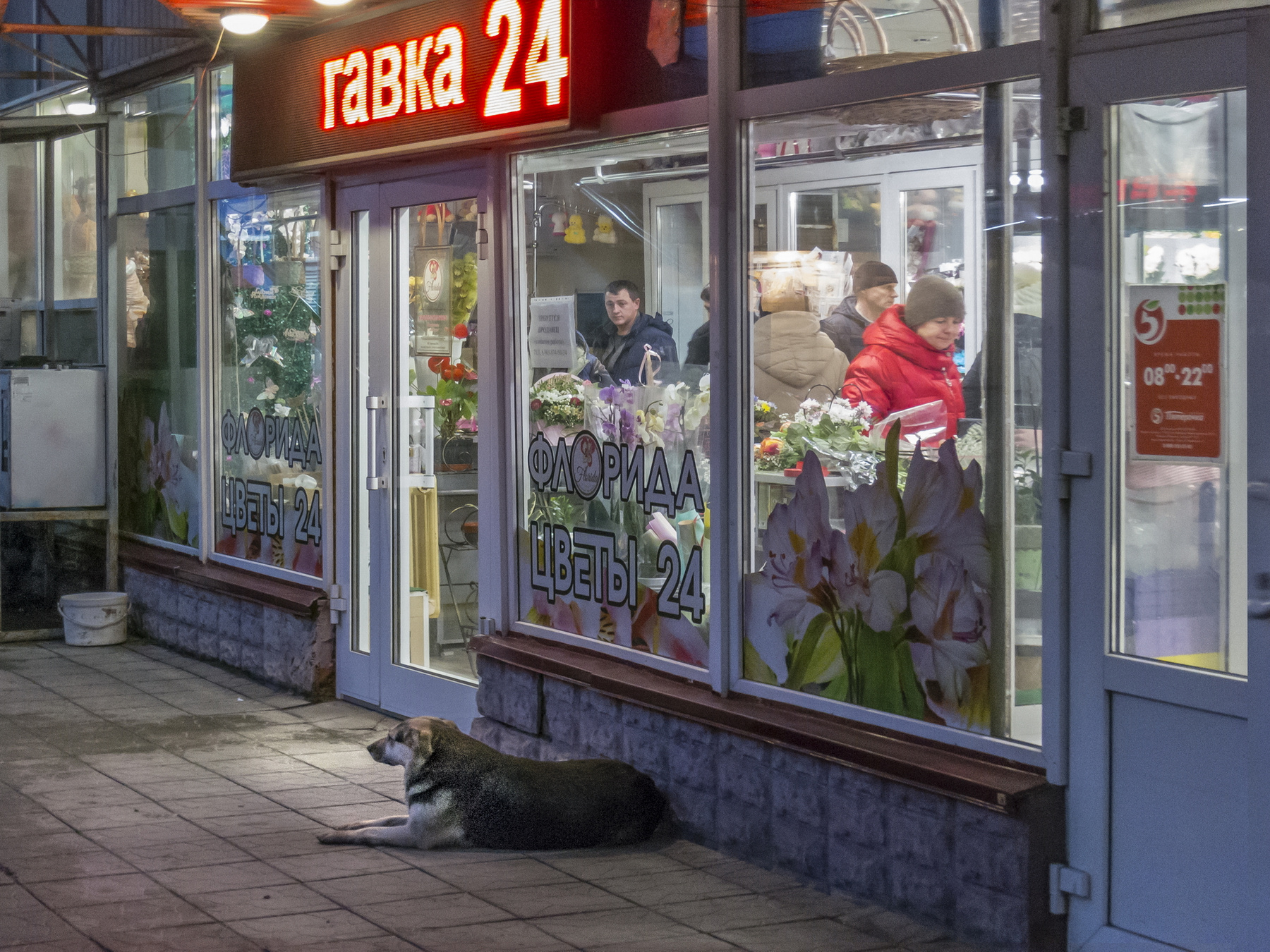 Гавка 24)) 