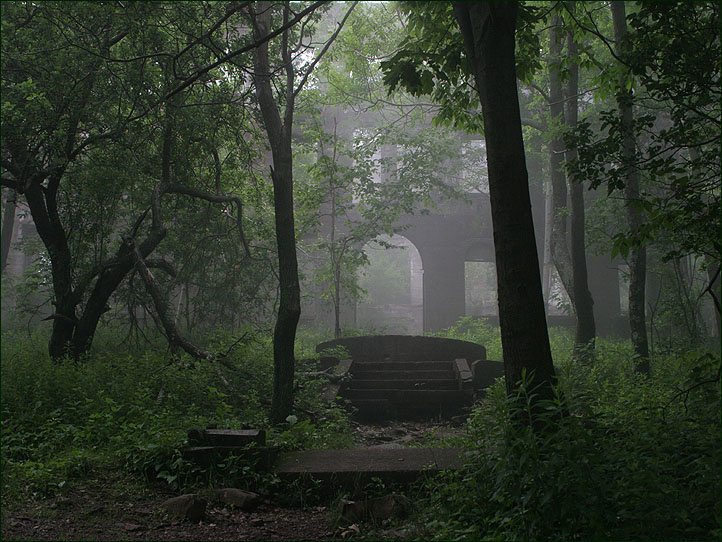 Time Portal лес туман ghost hotel