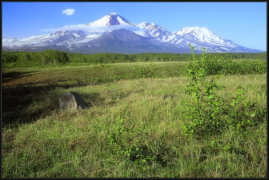 Камчатский ландшафт Камчатка, начало лета, Авачинский вулкан, поле, вулканическая  бомба