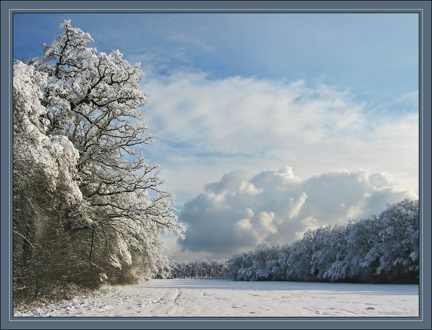 L`hiver encore Зима:)