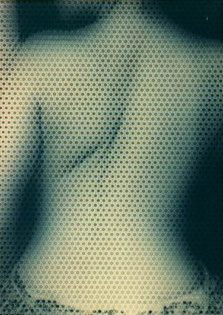 l'  anonyme dwer  spina steklo