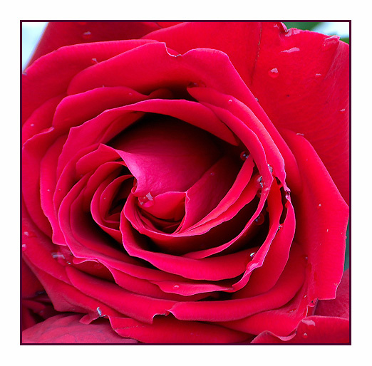 Пышная 