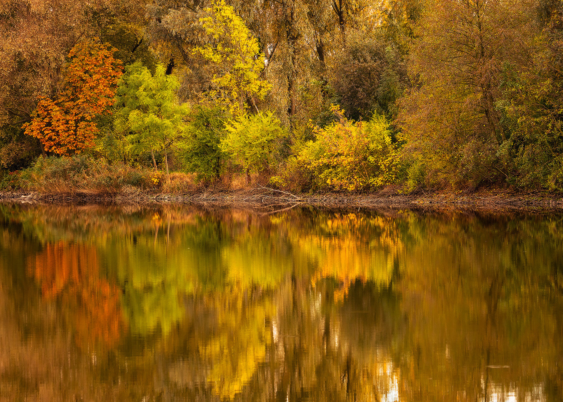 Autumn 