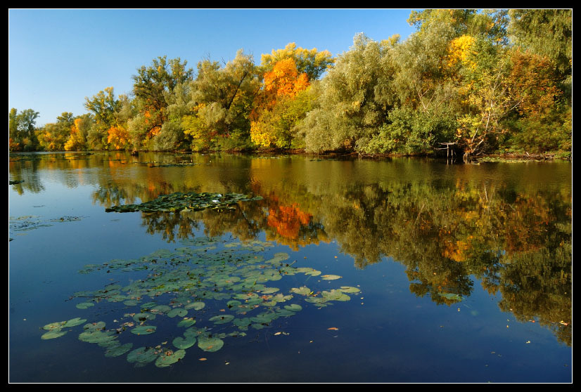 теплый осенний денек осень река природа