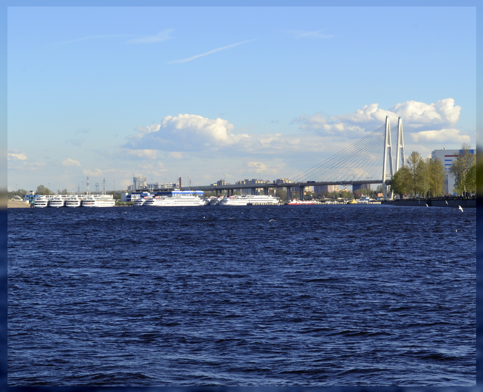 речной порт санкт-петербург нева набережная порт теплоходы