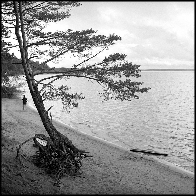 Держаться корней Rolleiflex