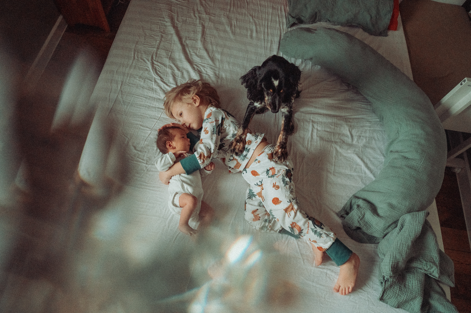 Возвращение из роддома ньюборн дочь лайф лайфстиль сын Newborn собака