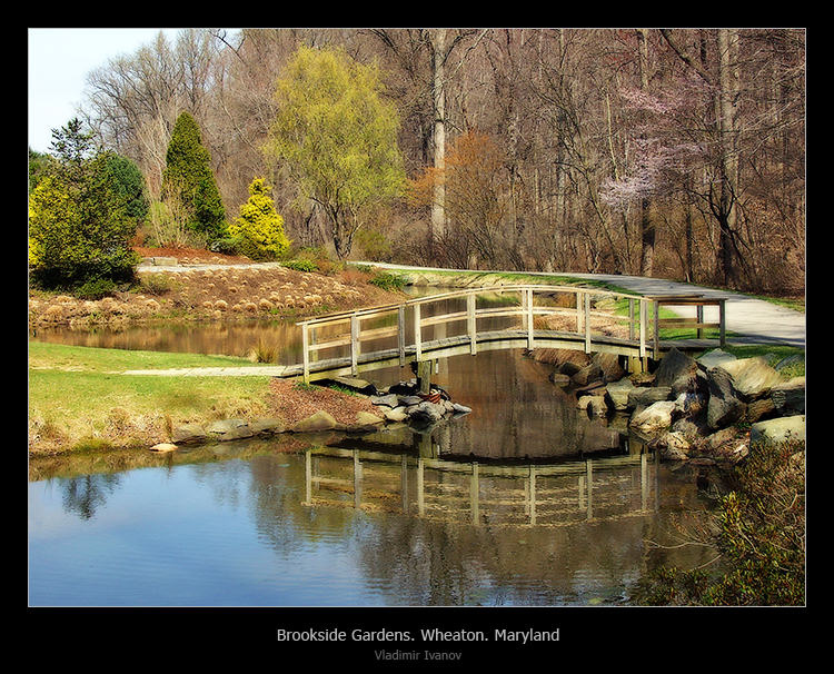 Мостик в весну весна мост отражение Wheaton Brookside Gardens Maryland USA