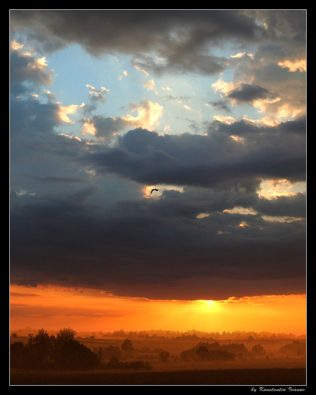Золотой край 