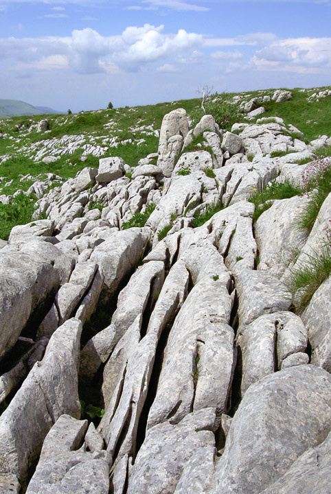 stone-surf... камни хребет Каменное Море Нагой-Кош Кавказский Государственный Природный Биосферный Заповедник