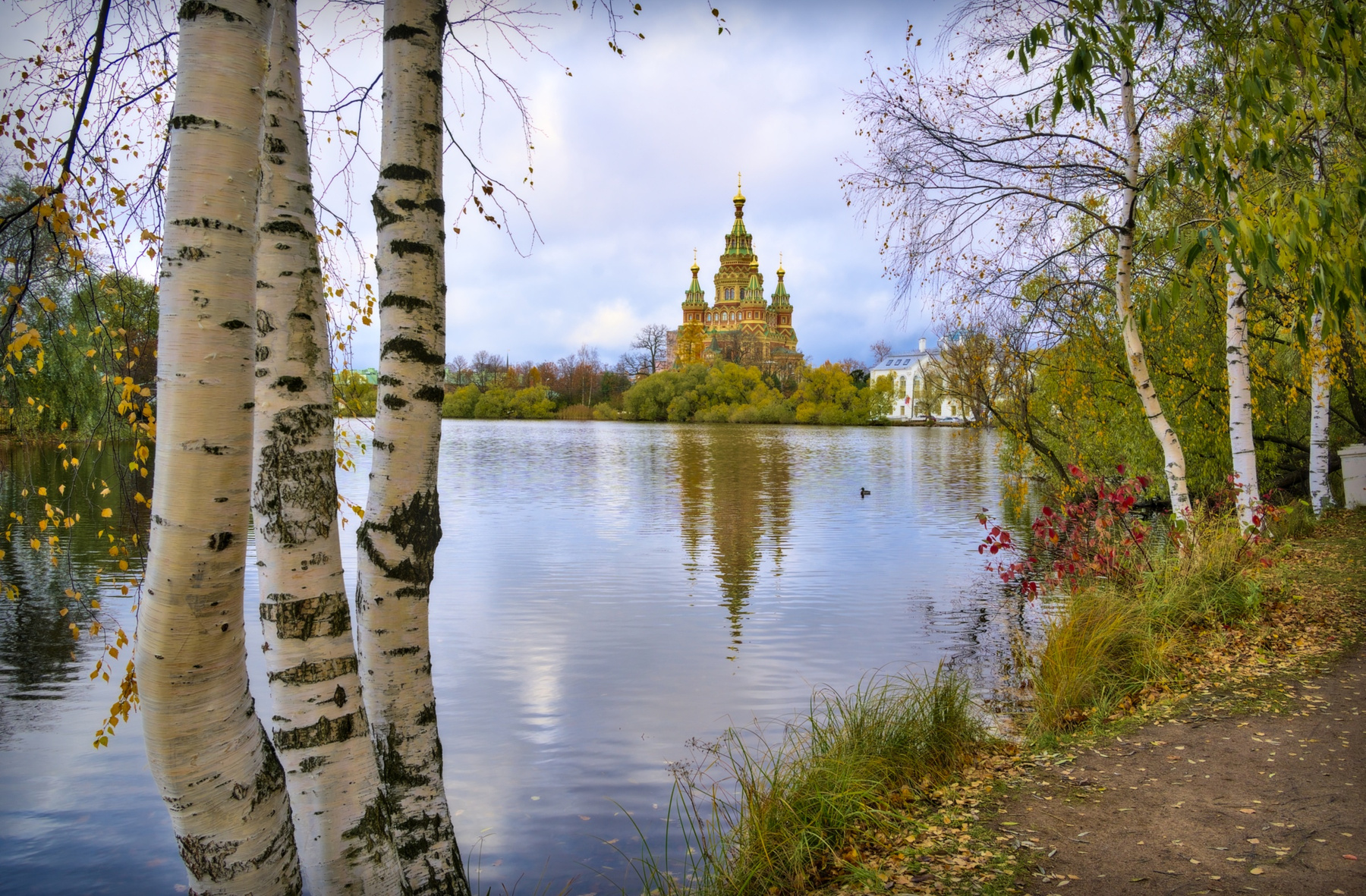 Колонисткий парк в Петергофе 