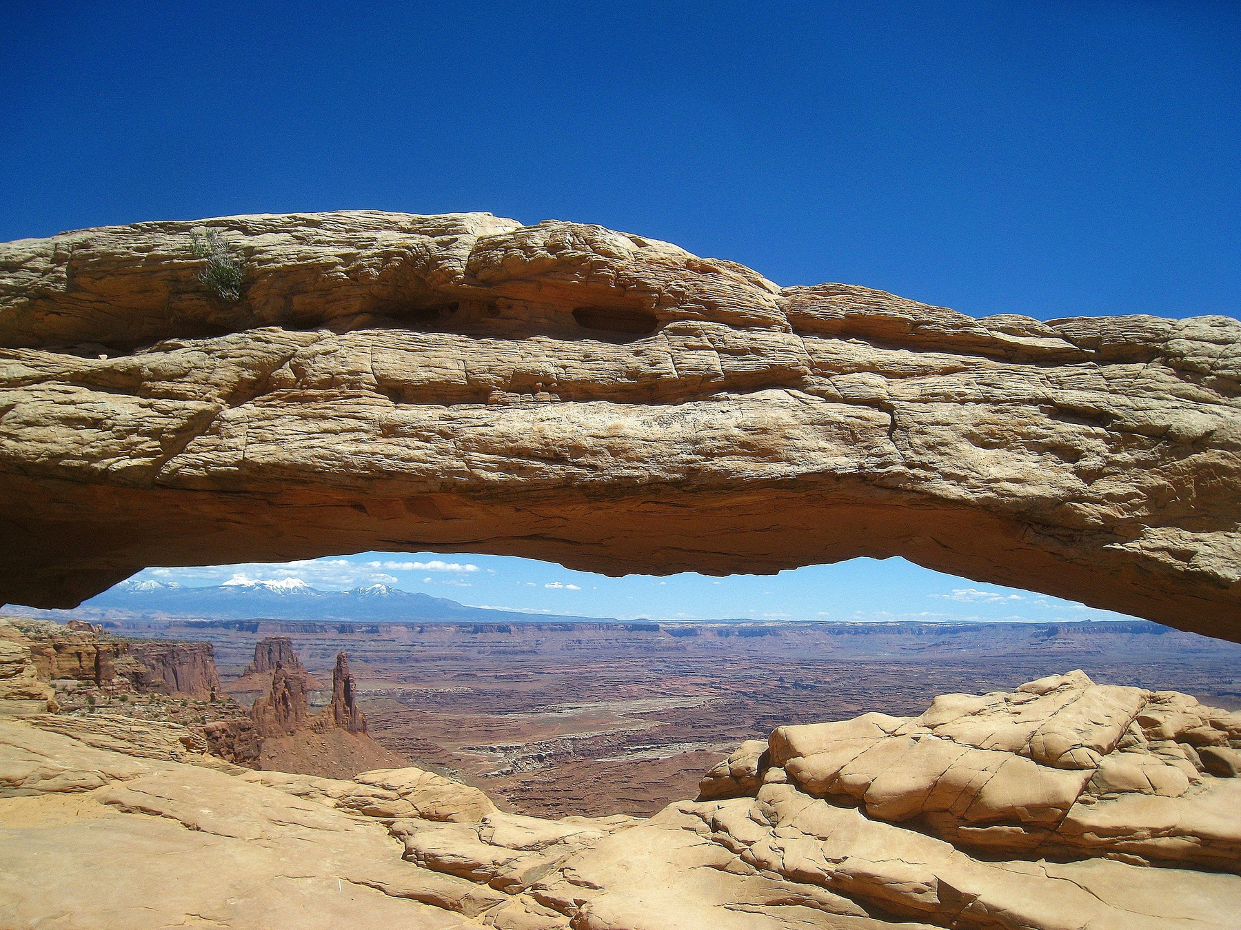 Меса Арк (Mesa Arch) в Национальном парке Каньонлендс. Америка пейзаж скалы дюны песок природа