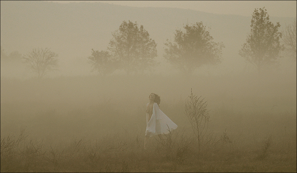 Mystical morning 
