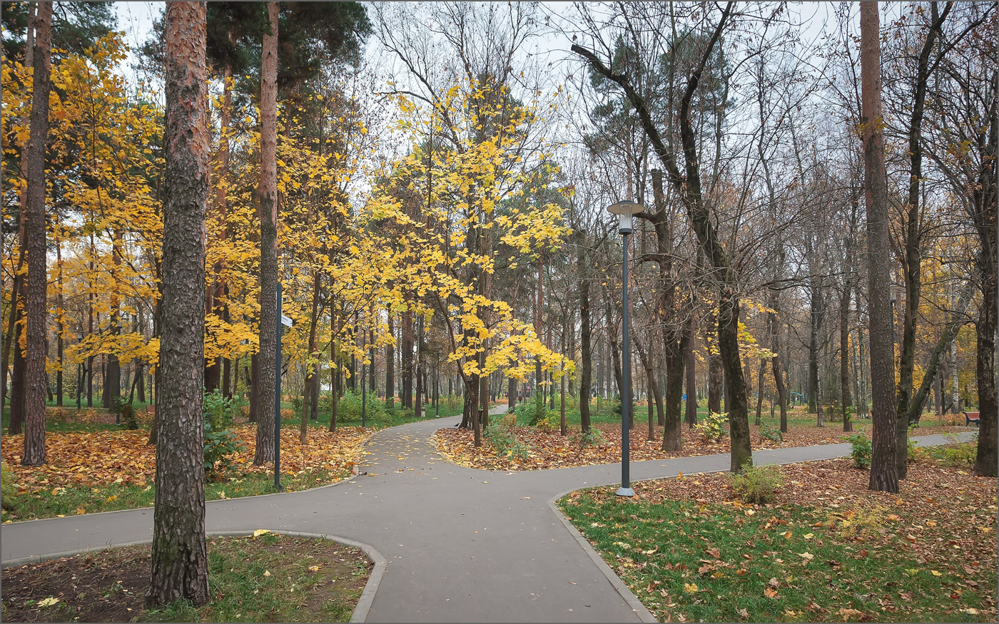 В осеннем парке... Парк осень