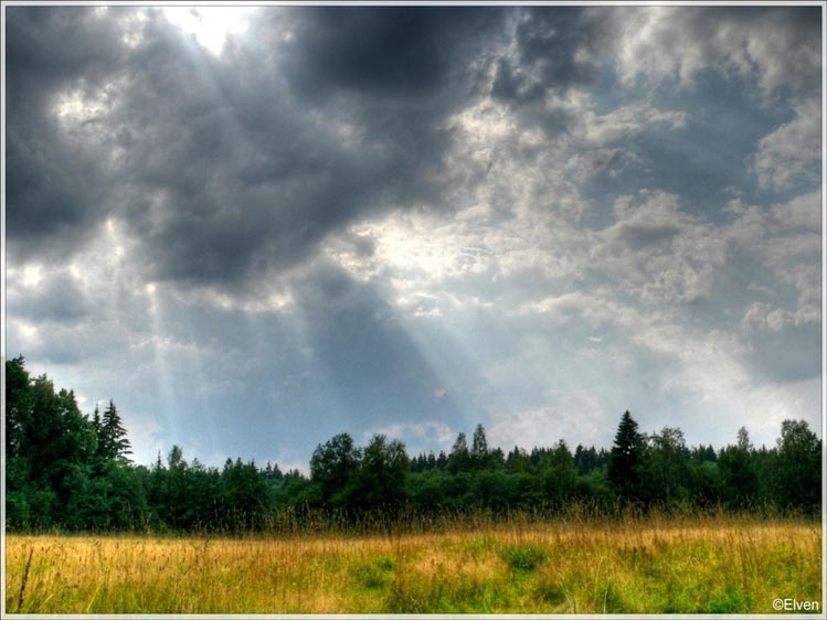 Полянка HDR природа