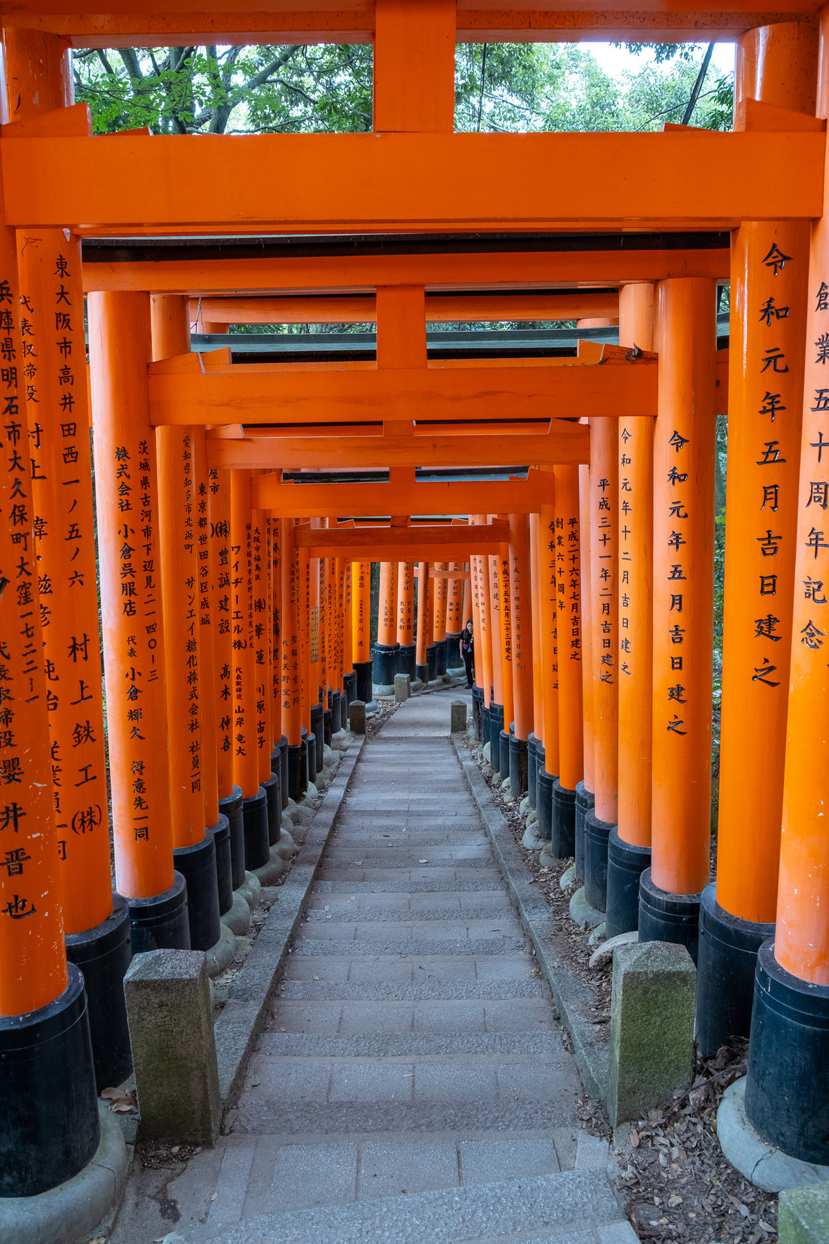 Fushimi Inari ,Kyoto 