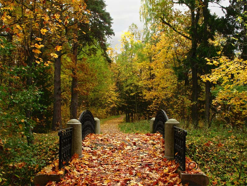 осенний парк осень, пейзаж, природа