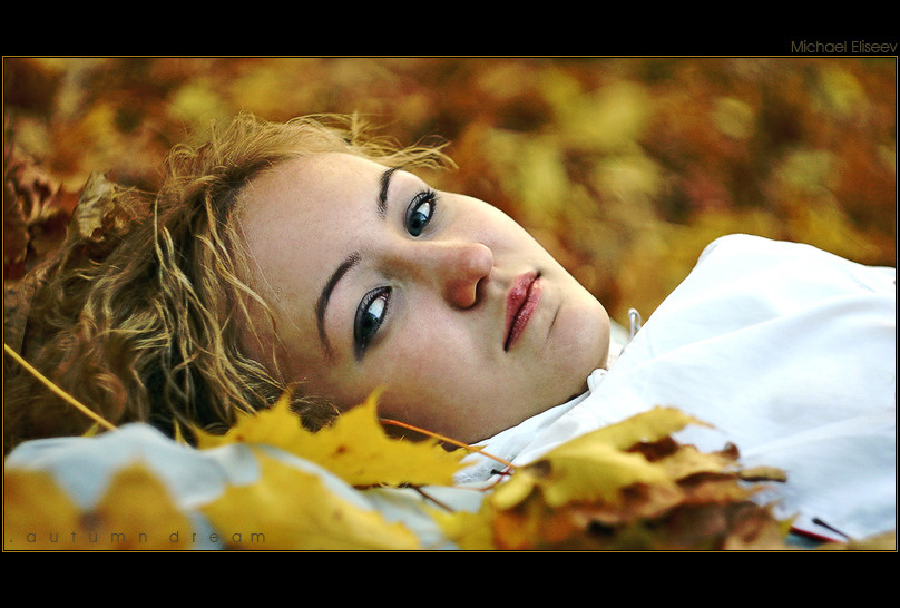 .autumn dreams девушка листья осень
