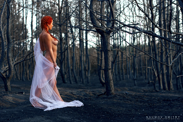 Фотография 4034 