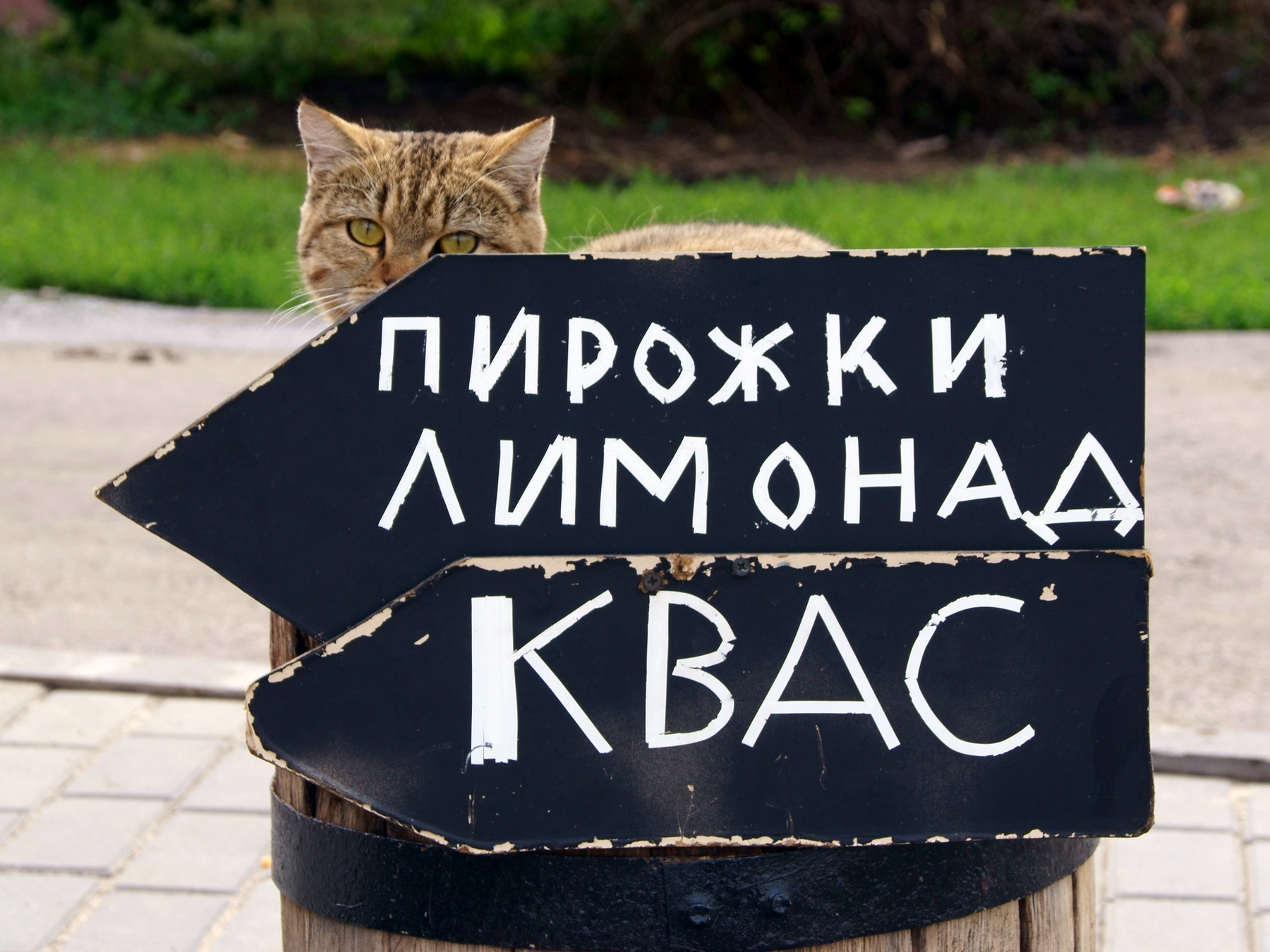 Зазывала.. 