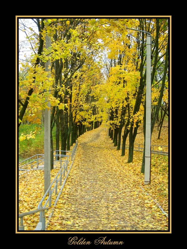 ... осенний сон ... 