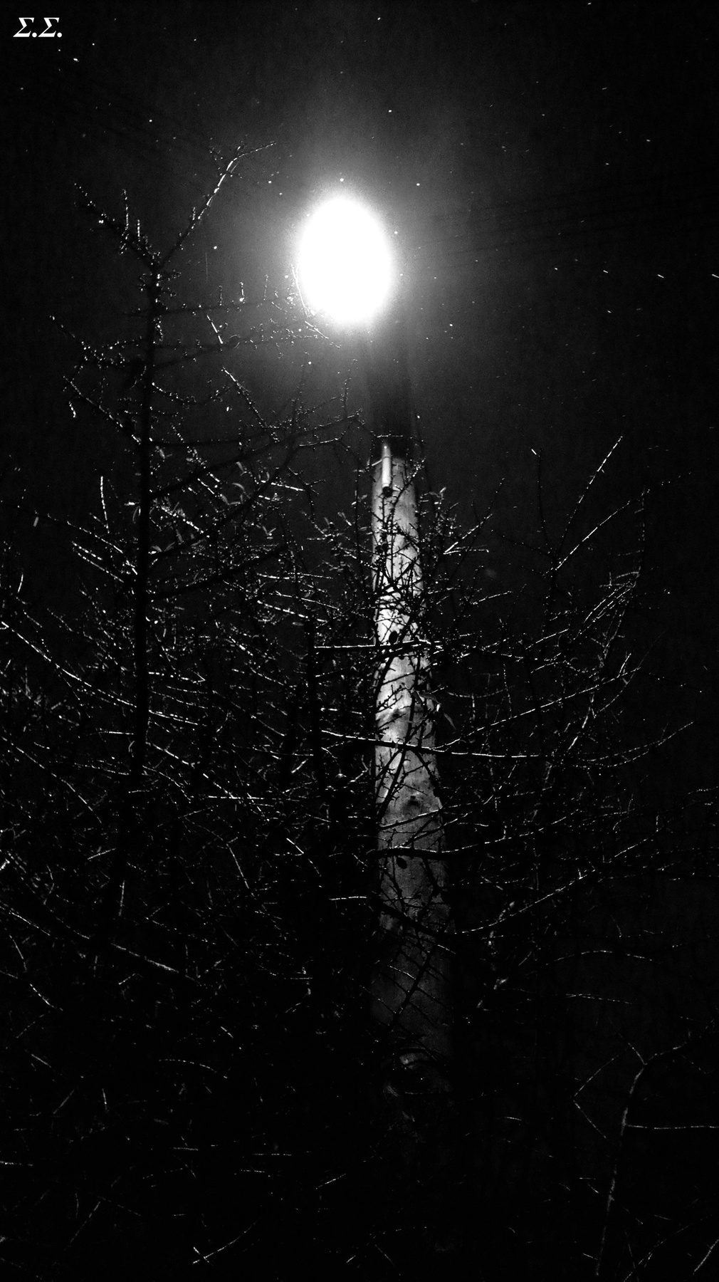 RAIN UNDER THE PUBLIC LIGHT 