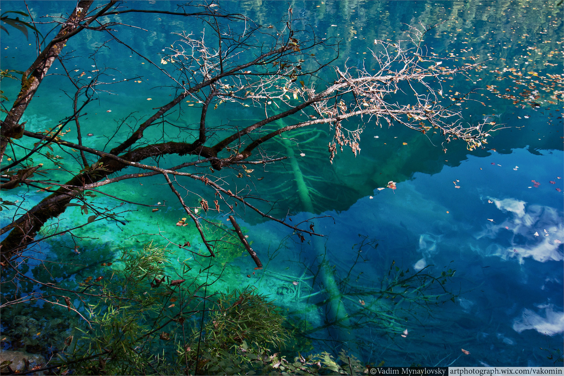 Jiuzhaigou #18 Jiuzhaigou Цзючжайгоу долина_9_деревень Jiuzhai_valley ChinaКитай vakomin