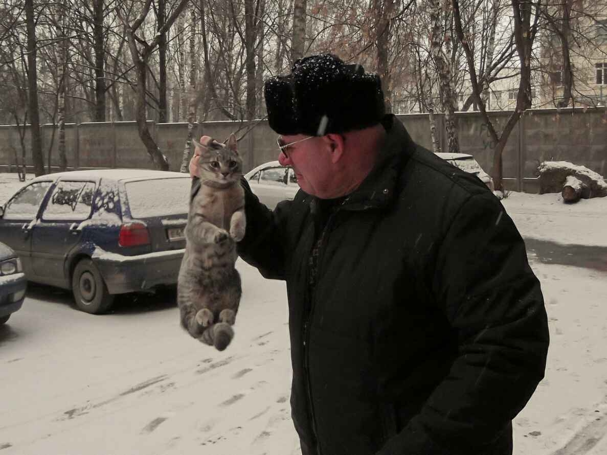 У нас, в России, это не едят! юрков, владимир, морра, кот, кошка, еда, обед