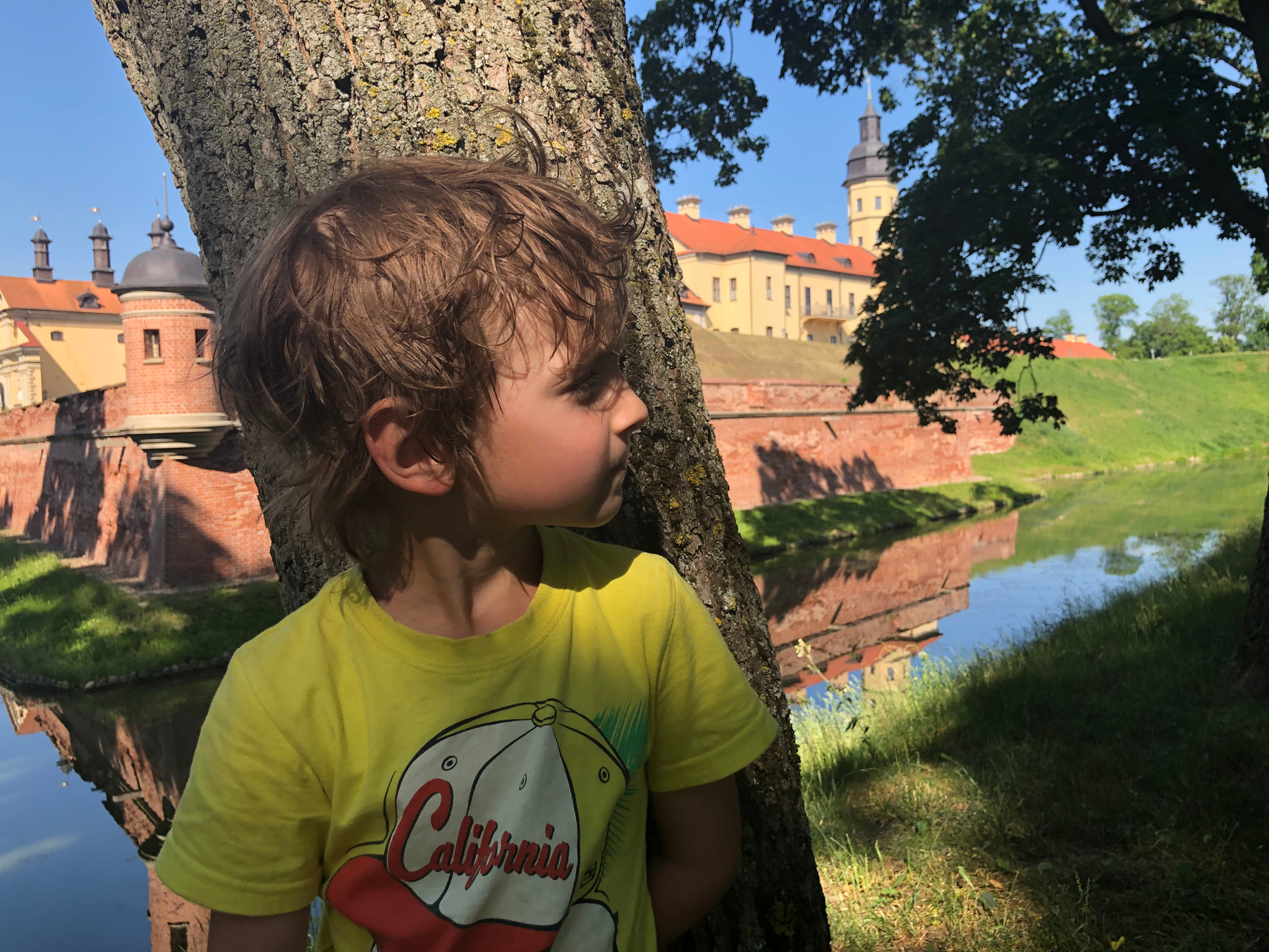 нестор и несвиж несвиж.нестор.беларусь.пруд.путешествие