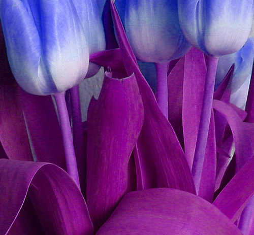 Spring mood#3 