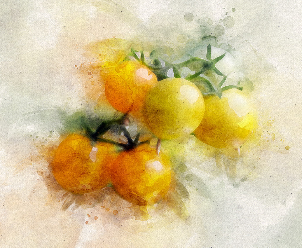 sunny tomatoes 