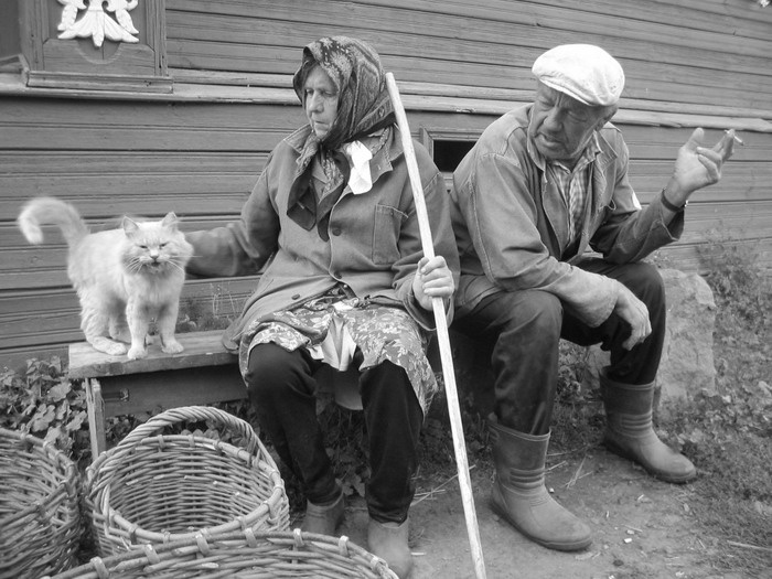 все дело в НЁМ) кот