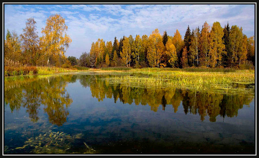 Осень золотая река , осень,лес, тишина